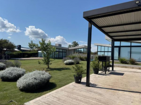 Olivos del Solar
